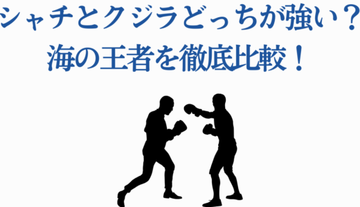 シャチとクジラどっちが強い？海の王者を徹底比較！驚愕の真実