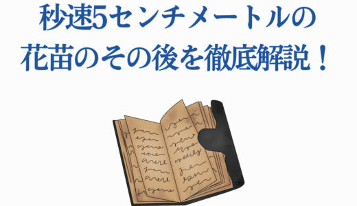 秒速5センチメートルの花苗のその後を徹底解説！10年後の真実と新しい恋