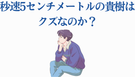 秒速5センチメートルの貴樹はクズなのか？実写化で再注目される主人公の真実