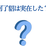 河丁紹の実在を問うミステリー画像