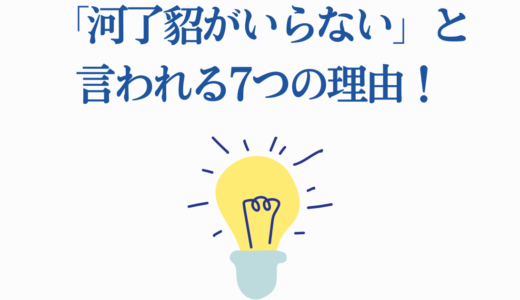 「河了貂がいらない」と言われる7つの理由！再評価される軍師の真価