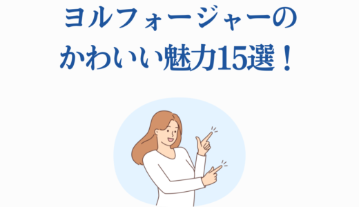 ヨルフォージャーのかわいい魅力15選！アニメ3期の見どころも徹底解説