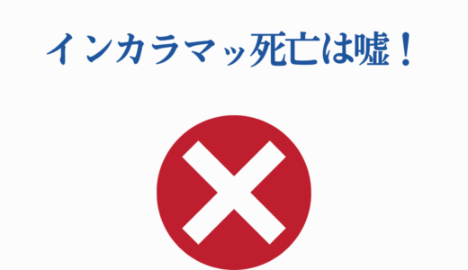 【インカラマッ死亡は嘘！】キロランケに刺された後の運命と谷垣との結婚